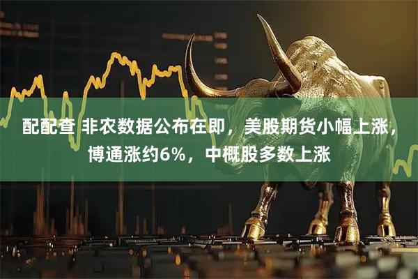 配配查 非农数据公布在即，美股期货小幅上涨，博通涨约6%，中概股多数上涨