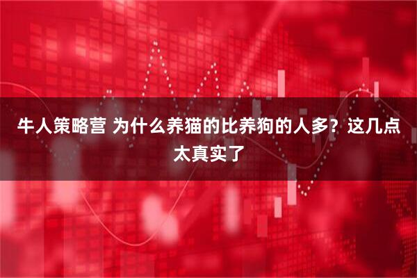 牛人策略营 为什么养猫的比养狗的人多？这几点太真实了