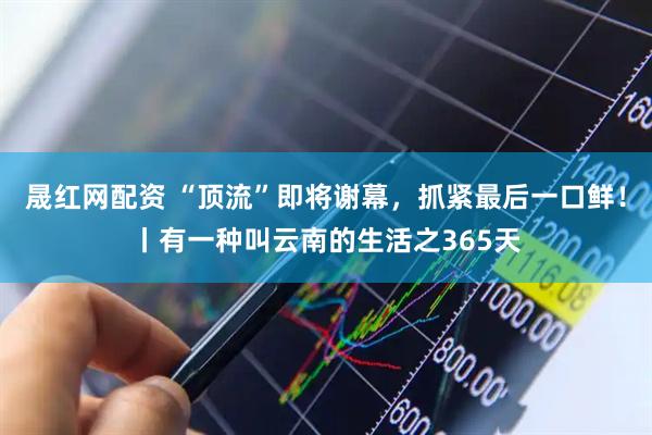 晟红网配资 “顶流”即将谢幕，抓紧最后一口鲜！丨有一种叫云南的生活之365天